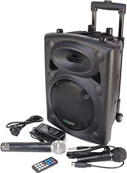 Ibiza PORT8VHF-BT - Sistema de sonido portátil y autónomo, 400 W, color negro