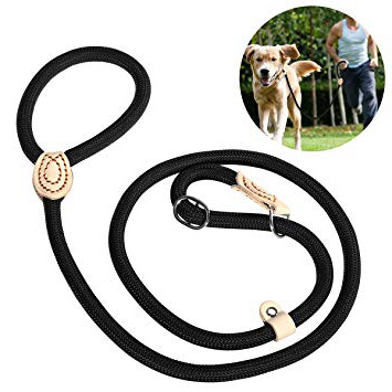 Collar De Entrenamiento Para Perros, Acero Inoxidable Duradero Para