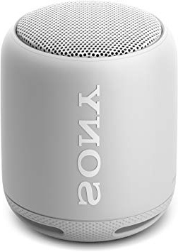 Sony SRS-XB10W - Altavoz inalámbrico portátil (Bluetooth, Extra Bass, NFC, 16h de batería), Gris (Grayish White)