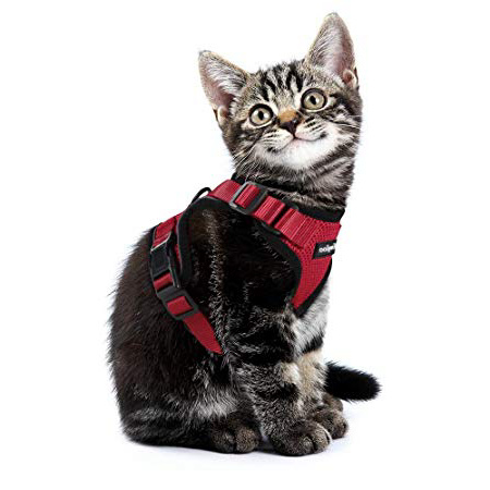 Eagloo Arnés para Gato Perrito Upgrade con Cuello Sin Tirón y Cinta Reflectante Más Seguridad en Noche, Fácil de Poner y Quitar, Tamaño XS Rojo