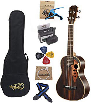 Paisen 23 pulgadas Ukelele Hawaiano de madera palosanto profesional con afinador cejilla Correa para ukeleles Funda de transporte cuerda de ukeleles púa enviar un conjunto completo de accesorios