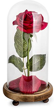 Kit de Rosas La Bella y la Bestia, Rosa de Seda roja y luz LED con pétalos caídos en la cúpula de Vidrio en la Base de Madera para la decoración del hogar Boda Cumpleaños Día de la Madre
