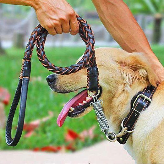 Correa de Perro de Cuero, Motionjoy Trenzado de cuero correa de perro formación a pie de plomo para perros grandes medianos - Negro