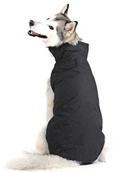 Bwiv Abrigos para Perros de Invierno Chaqueta Impermeable Forrado de Polar con Apertura para Correa Negro 6XL