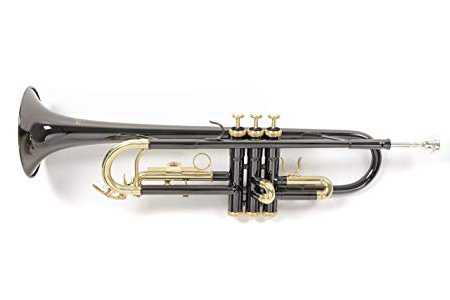 Roy Benson RB701052 - Trompeta en Sib TR-101K, estuche ligero rectangular, color antracita