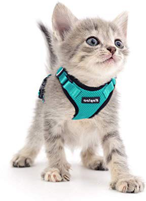 Eagloo Arnés para Gato Perrito Upgrade con Cuello Sin Tirón y Cinta Reflectante Más Seguridad en Noche, Fácil de Poner y Quitar, Tamaño XS Verde