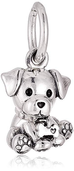 Pandora Mujer plata Abalorios 798009EN16