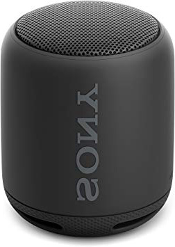 Sony SRS-XB10B- Altavoz inalámbrico portátil con Bluetooth y Extra Bass, Negro