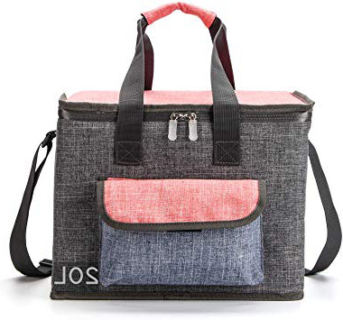 Bolsa termica 20litro, Grande Bolsa Nevera para Picnic Almuerzo Camping Playa Barbacoa, Gray & Rojo
