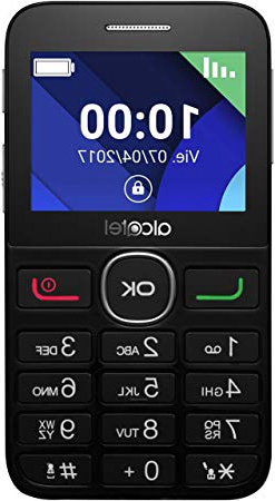 Alcatel 2008G -Teléfono Móvil (Fácil uso, Pantalla de 2.4” QVGA ,320x240, 2G, cámara trasera 2 Mpx, 8MB de RAM, 16MB de ROM, batería 1400mAh), Negro/Plateado