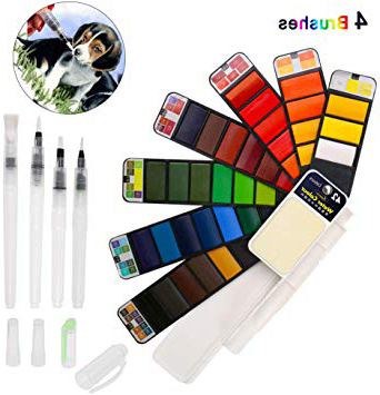 BBLIKE Acuarelas, Set de pintura de acuarela sólida,42 colores caja de almacenamiento del sector con 4 pincel de pintura de agua Pigmento de acuarelas portatiles para artículos de arte