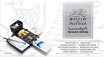 Winsor & Newton Profesional -