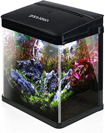 Nobleza - Acuario de Cristal