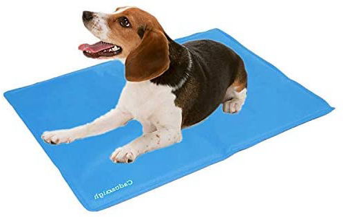 Cadosoigh Alfombra de Refrigeración Animales