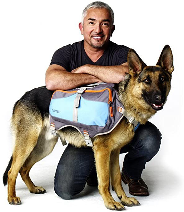 
                
                    
                    
                

                
                    
                    
                        Cesar Millan Mochila Perro™
                    
                

                
                    
                    
                
            