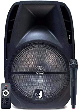 Biwond Thundersound Altavoces Autoamplificados 250W TS8” (Bluetooth, USB/SD/AUX/Jack/, Micrófono inalámbrico, RMS 110W, Radio, LCD, Echo, Rec) – Negro