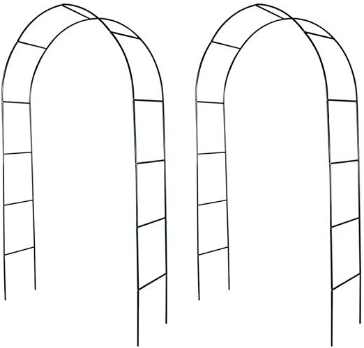 vidaXL Arco de jardín 2 Piezas Subiendo Las Plantas