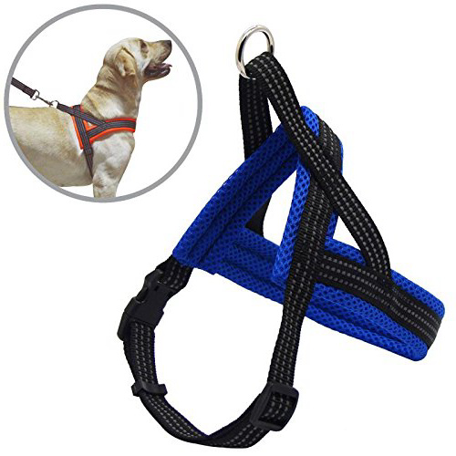 BPS® Arnés Correa para Perros Mascotas Collar Ajustable 4 Tamaños Colores para Elegir para Perro Pequeño Mediano y Grande (M, Azul) BPS-3882A