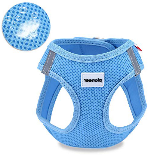 Petcomer Arnés Perro Suave Chaleco Acolchado Cómodo para Viajar Pasear con Mascota Pequeña Gatito y Cachorro (S - Pecho: 36-44 cm, Azul)