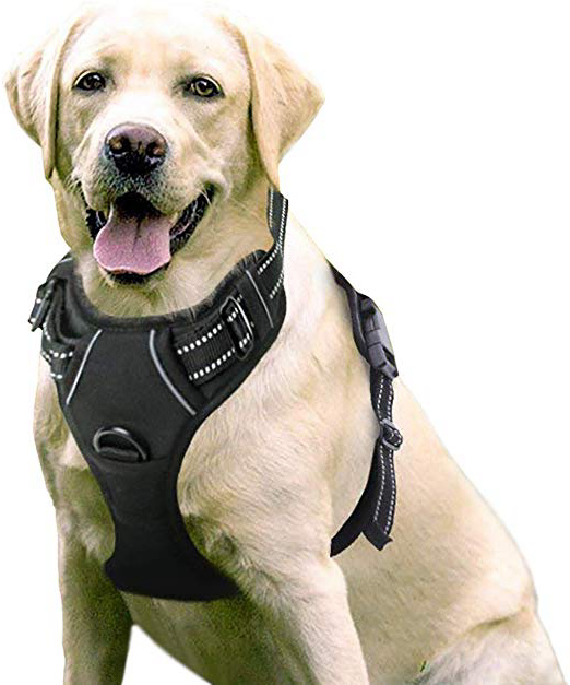 Rabbitgoo Arnes Perro Grande Mediano Pequeño Arnés Pecho Antitirones Perros Coche con Lineas Reflecantes Cómodo Transpirable Chaleco Acolchado Ajustable para Adiesreamiento CorrerTamaño Grande Negro