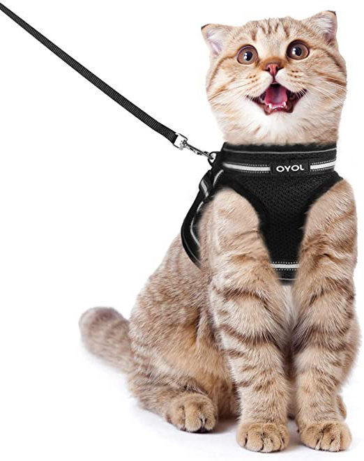 JOYO Arnés Gato Antiescape y Ajustable con Correa de 150cm, Arnés Chaleco para Gatos Reflectante de Tela de Malla Suave para Gatos Pequeños y Medianos, Gatos Bebes, Mascotas Pequeñas, S
