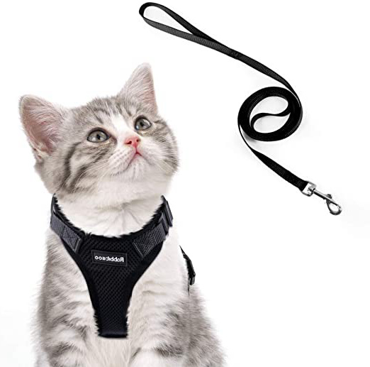 rabbitgoo Arnés para Gatos y Correa 150 cm Cuerda Chaleco Ajustable Antitirones Cómodo Material fácil de Poner y Quitar para Entrenamiento Seguridad Arnes para Perro Conejos Mascotas Pequeño XS Negro