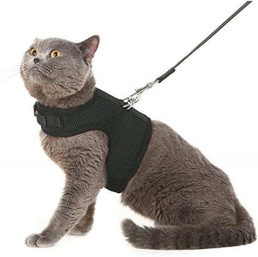 Arnés y correa para gato BINGPET, a prueba de escapes, arnés de malla tipo chaleco, ajustable y suave para pasear al gato.
