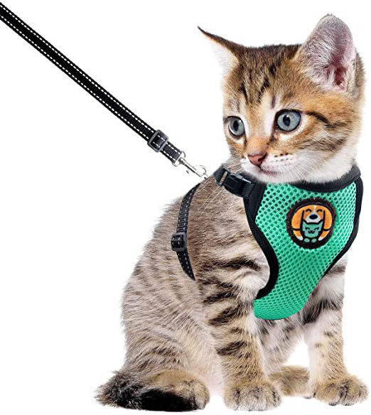AWOOF Arnés para Gato y Correa a Prueba de Escape, Chaqueta Ajustable para Caminar con Gatito Cat Kitten con Anillo de Correa de Metal, Chaleco Suave y Transpirable para Mascotas pequeñas