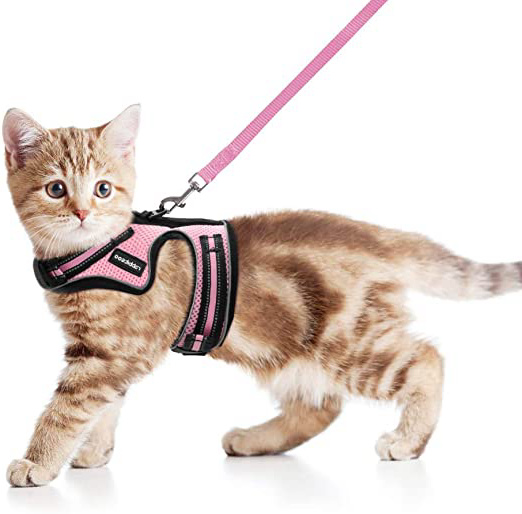 rabbitgoo Arnes para Gatos y Correa 150cm Chaleco Ajustable Reflectante Cómodo Material con 2 Velcros para Fácil de Poner y Quitar para Paseo Diario Arnes para Perro Pequeño Conejos Gatos M Rosado