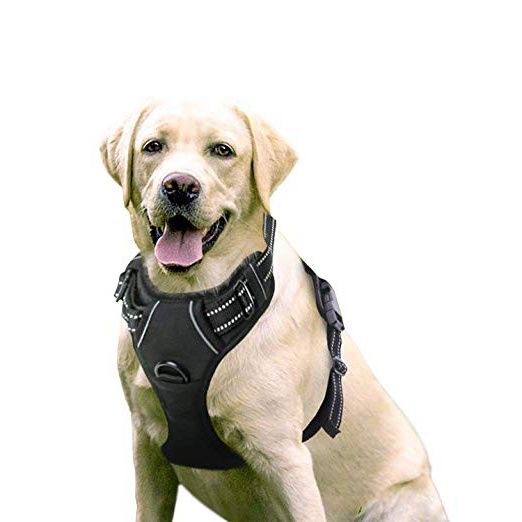 Rabbitgoo Arnes Perro Grande Mediano Pequeño Arnés Pecho Antitirones Perros Coche con Lineas Reflecantes Cómodo Transpirable Chaleco Acolchado Ajustable para Adiesreamiento CorrerTamaño Grande Negro
