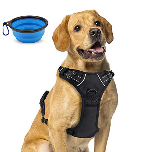 Arnés para Perro Transpirable, Arnés Pecho Antitirones Impermeable con Lineas Reflectante - Arnes de Perro Duradero con Chaleco Acolchado Ajustable para Perros Mediano/Grande +Tazón Plegable Azul