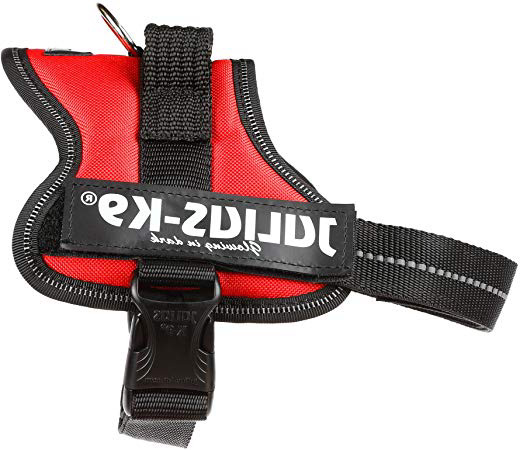 Julius-K9 Mini, 51-67 cm, Rojo