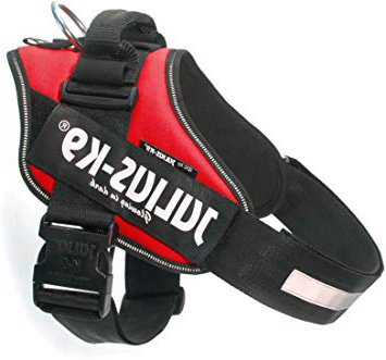 Julius-K9 16IDC - Power Harness