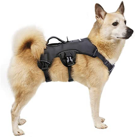 rabbitgoo Arnes Antitirones Perro Grande Mediano Ajustable con Manija de Espalda, Chaleco Acolchado Arnés para Perro Coche Lineas Reflecantes Paseo Fácil para Entrenamiento Tamaño Grande Negro