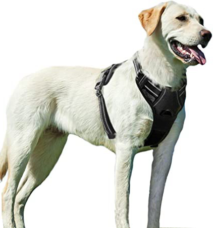 Eagloo Arnes de Perro Antitirones Cómodo Chaleco Ajustable Correa al Cuello y Pecho para Perros Labrador Material Duradero Transpirable con Cinta Reflectante Adaptarse a Ejercer Externo XL/Negro