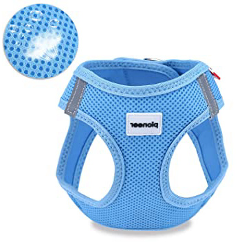 Petcomer Arnés Perro Suave Chaleco Acolchado Cómodo para Viajar Pasear con Mascota Pequeña Gatito y Cachorro (S - Pecho: 36-44 cm, Azul)