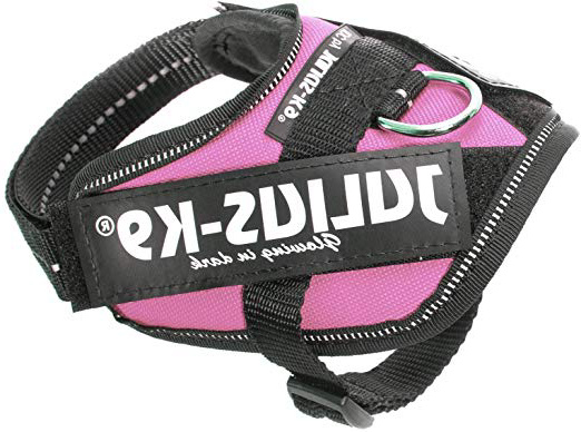 Julius-K9 16IDC - Power Harness
