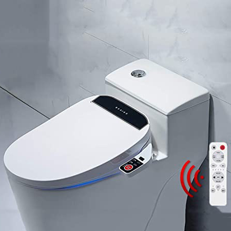 ZJZ Bidet electrónico Asiento de