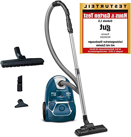 Rowenta RO3950 - Aspiradora con