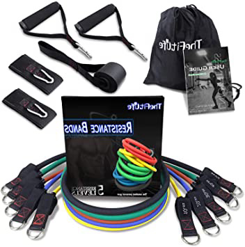 TheFitLife Bandas Elasticas Fitness Musculacion