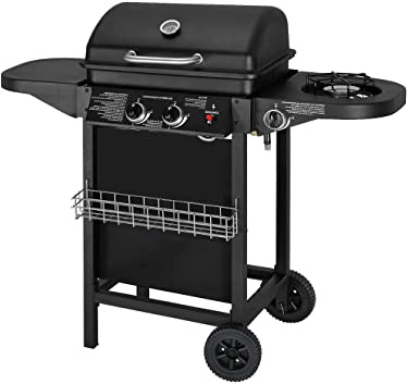 Barbacoa a gas con 2