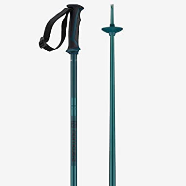 Salomon Arctic Palos De Esquí,