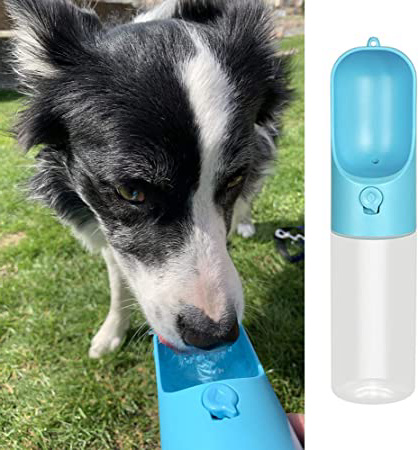 DZL- Botella Agua Perro Botella