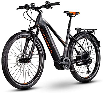 RAYMON E-Tourray LTD 2.0 Pedelec