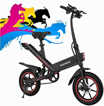 Bicicleta Eléctrica Adultos Motor de