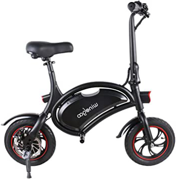 Windgoo Bicicleta Electrica 36V Plegable