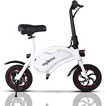 Windgoo Bicicleta Electrica 36V Plegable