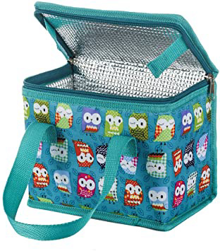 Bolsa para el almuerzo con aislamiento, de TEAMOOK, con asa, capacidad para 6 latas