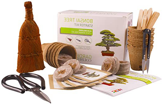 BONSAI CULTIVA 6 DE TUS