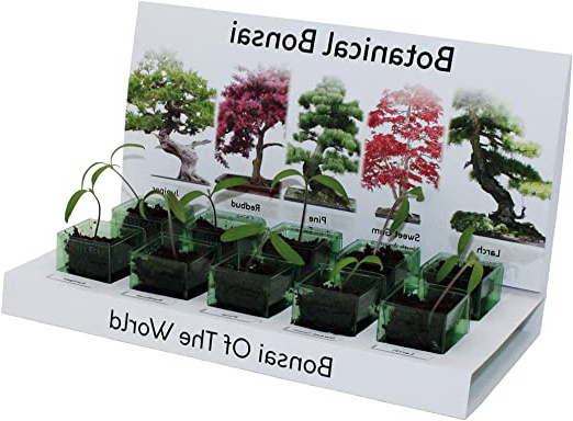 Kit de cultivo de árbol